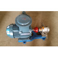 2CY stainless steel pump vegetable oil transfer gear pump high pressure pump